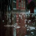 Waarom ruikt regen zo lekker en hoe ontstaat dat frisse aroma?