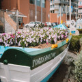 Torremolinos? Vakantie aan de Costa del Sol!