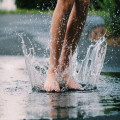 Waarom ruikt regen zo lekker en hoe ontstaat die geur?